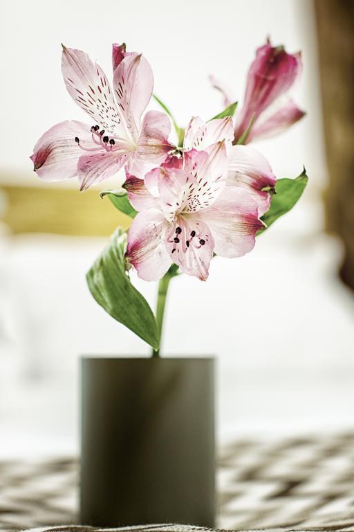 Jardines Boutique Otel Madrid Dış mekan fotoğraf