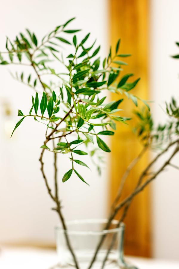 Jardines Boutique Otel Madrid Dış mekan fotoğraf